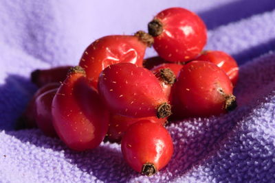 Close-up of tomatoes