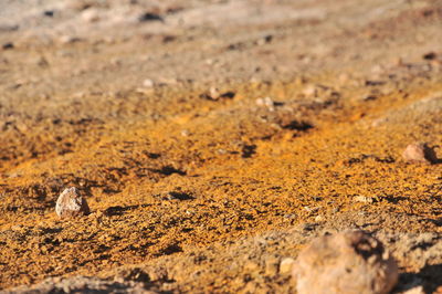 Surface level of dirt road