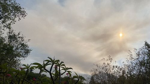 sky