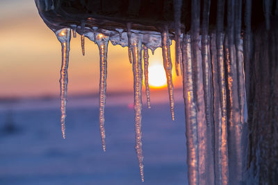 Close-up of icicles against sky at sunset