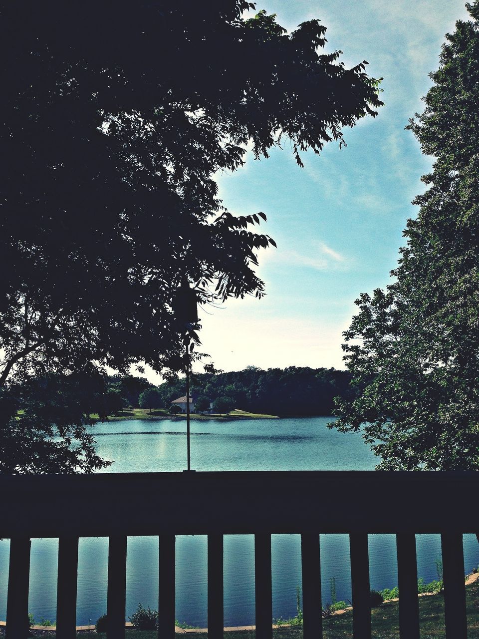 tree, water, railing, sky, tranquility, tranquil scene, branch, scenics, lake, nature, beauty in nature, river, growth, pier, fence, idyllic, built structure, outdoors, day, sea