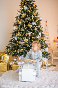 Close-up of christmas tree