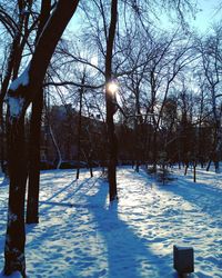 tree