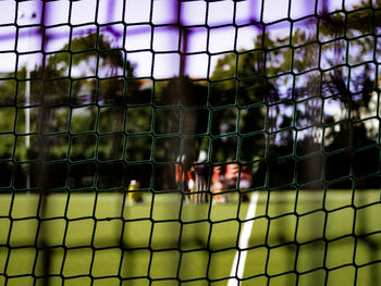 Close-up of giraffe in cage seen through chainlink fence