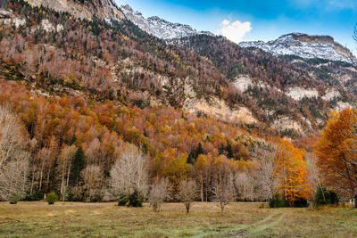 Scenic view of landscape against sky during autumn