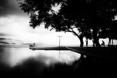 Reflection of trees in water