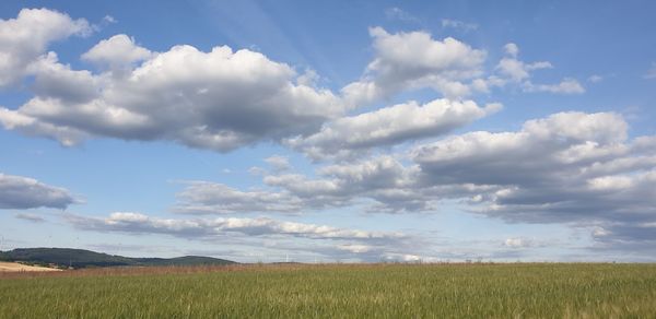Scenic view of field against sky