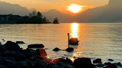 Scenic view of lake against sky during sunset