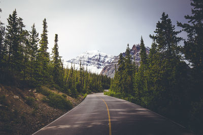 Road amidst trees against clear sky