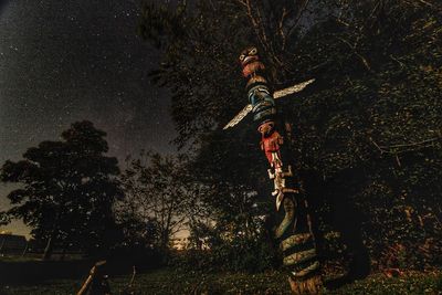 Low angle view of man standing by tree against sky in forest