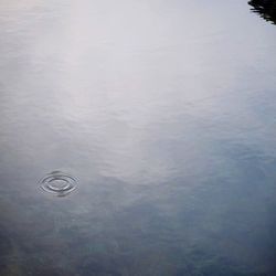 High angle view of water