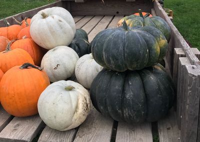 Close-up of pumpkins