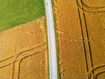 Scenic view of agricultural field