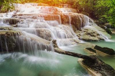 Scenic view of waterfall in forest