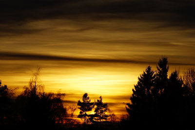Silhouette trees against sky during sunset