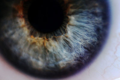 Close-up of human eye