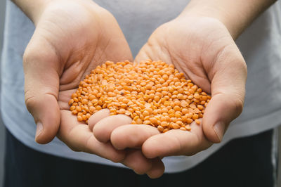 Midsection of man holding lentils