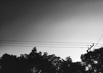 Low angle view of bird flying against clear sky
