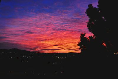 Silhouette trees against scenic sky