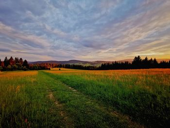 Scenic view of field against sky during sunset