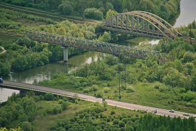 Bridge over river amidst trees in forest