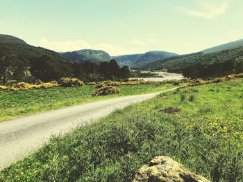 Scenic view of landscape against sky