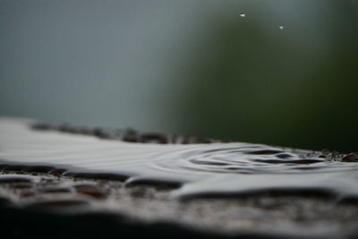 Extreme close up of surface