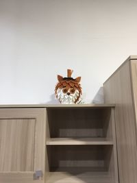 Small dog on wall at home