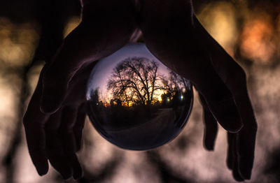 Close-up of human hand holding crystal ball against trees
