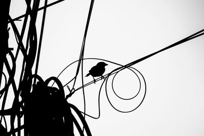 Low angle view of power lines