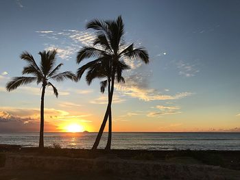 Silhouette palm tree on beach against sky during sunset