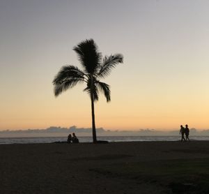 Silhouette palm trees on beach against clear sky at sunset