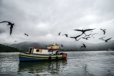 Seagulls flying over boat against sky