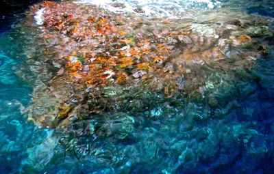 Rocks in sea