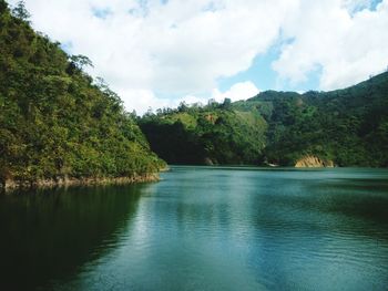 Scenic view of lake by trees against sky