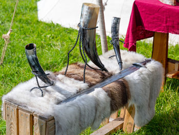 Viking drinking horns and sword on furs at a medieval market spectacle