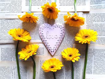 Close-up of yellow daisy flowers on paper at table