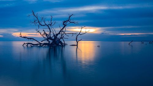 Silhouette bare tree by lake against sky during sunset