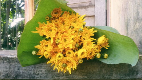 Close-up of yellow flowers