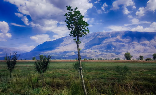 Scenic view of landscape against sky