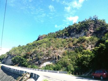 Trees by road against sky