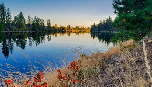 Scenic view of lake against clear sky