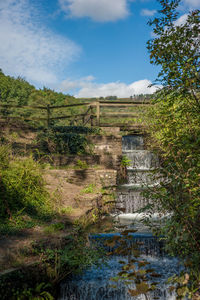 View of waterfall in forest