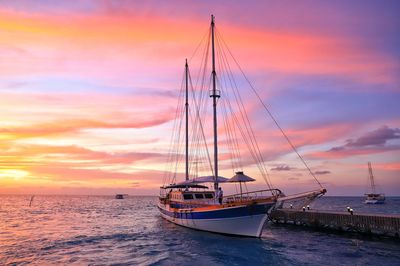 Sailboat sailing on sea against sky during sunset