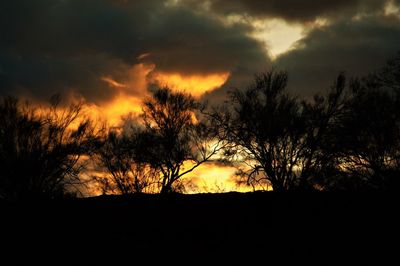 Silhouette trees against dramatic sky during sunset