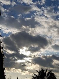 Low angle view of silhouette trees against sky