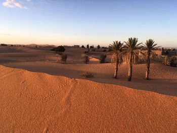 Scenic view of desert against sky