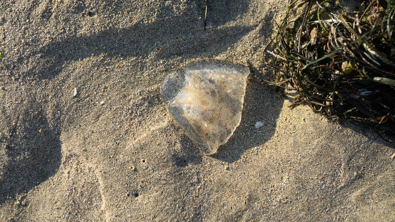 HIGH ANGLE VIEW OF SHADOW ON ROCK ON BEACH