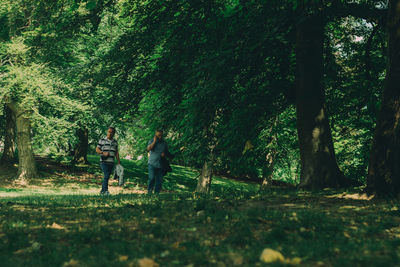 People walking on road amidst trees in forest