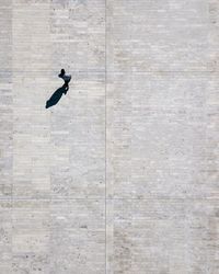 High angle view of mid adult man walking on footpath during sunny day